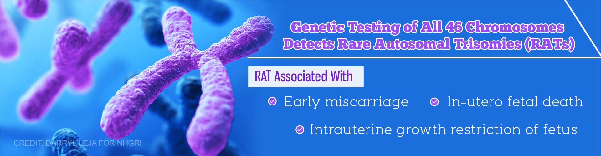 Genetic testing of all 46 chromosomse detects rare autosomal trisomies (RATs)
RAT associated with
- early miscarriage
- in-utero fetal death
- intrauterine growth restriction of fetus